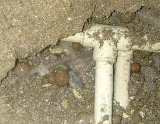卧龙卫生间测漏